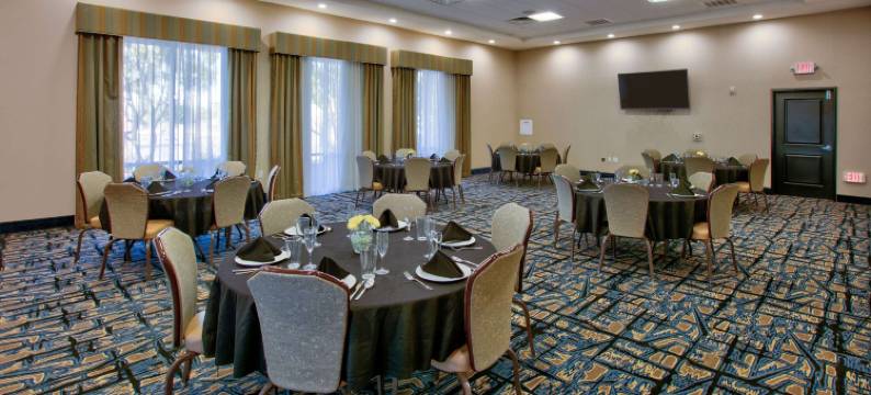 拉伯克西南拉昆塔温德姆套房酒店(La Quinta Inn & Suites by Wyndham Lubbock Southwest)图片