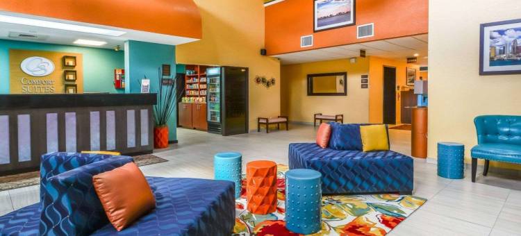 舒适套房酒店-坦帕布兰登(Comfort Suites Tampa - Brandon)图片