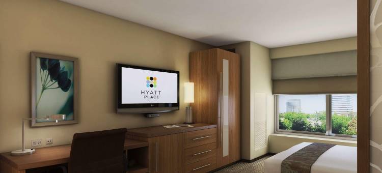 底特律/诺维凯悦嘉轩酒店(Hyatt Place Detroit/Novi)图片