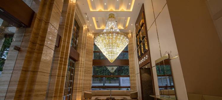 质朴酒店(The Pristine Hotel)图片