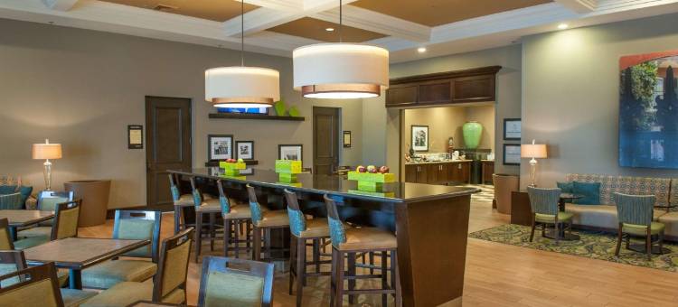 希尔顿欢朋套房酒店-新奥尔良爱姆伍德(Hampton Inn & Suites New Orleans-Elmwood/Clearview Parkway Area)图片