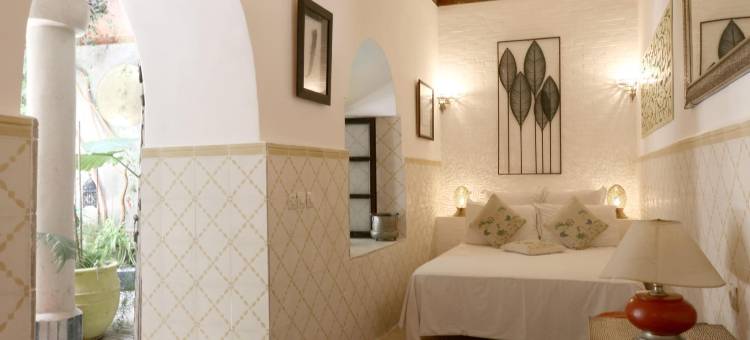 默斯坦摩洛哥传统庭院住宅(Riad Merstane Marrakech)图片