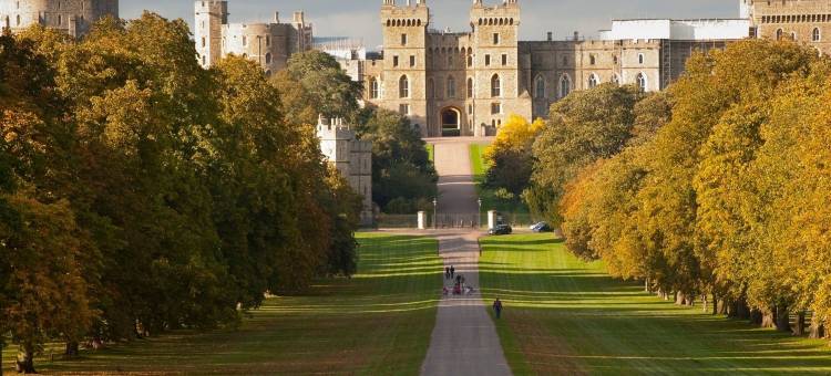 雷丁东皇冠假日酒店(Crowne Plaza Reading)图片