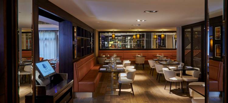 伦敦伊林希尔顿逸林酒店(DoubleTree by Hilton London Ealing)图片