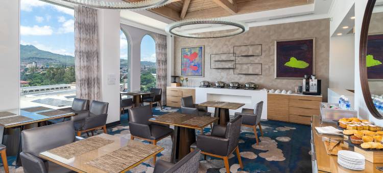 InterContinental Hotels 实特古西加尔巴(InterContinental Hotels Tegucigalpa at Multiplaza Mall)图片