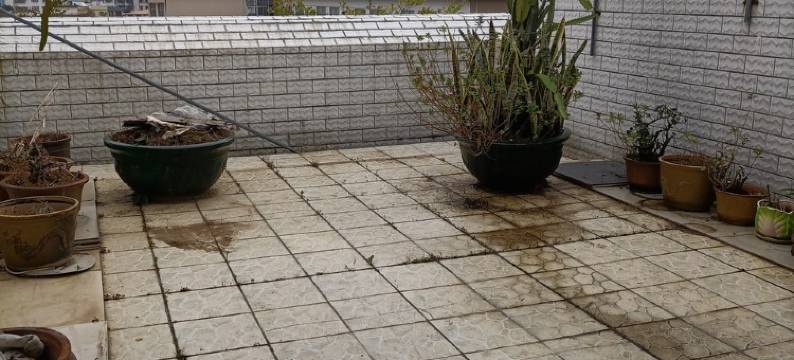 兴宁市vip公寓(学前路分店)图片