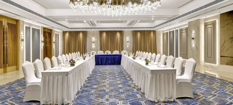 苏拉特丽柏酒店(Park Inn by Radisson Surat)图片