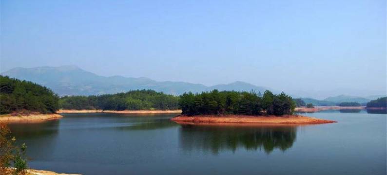 南雄银杏节乡途德义食府民宿(田心村分店)图片