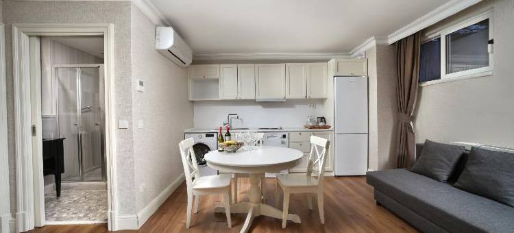 梅罗迪加拉塔公寓(Meroddi Galata Flats)图片