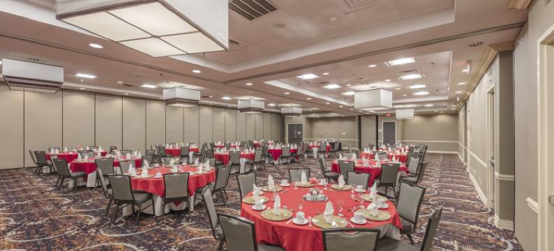 Holiday Inn 奥斯汀城(Holiday Inn AUSTIN MIDTOWN by IHG)图片