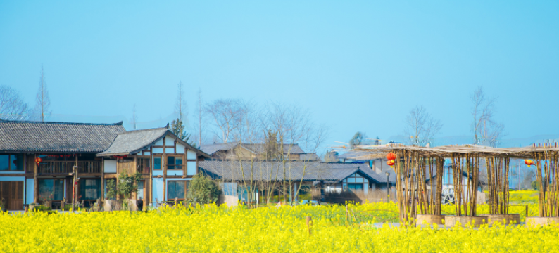大邑稻乡渔歌田园笔记图片