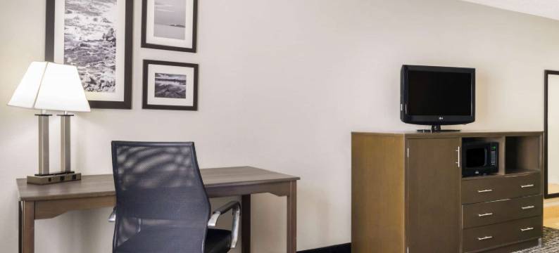 北默特尔比奇拉昆塔温德姆酒店(La Quinta Inn by Wyndham North Myrtle Beach)图片