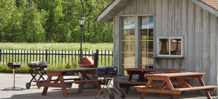 林赛骑士酒店(Knights Inn Lindsay)图片