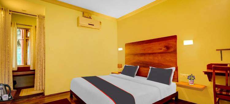 Collection O Misty Stay Thekkady图片