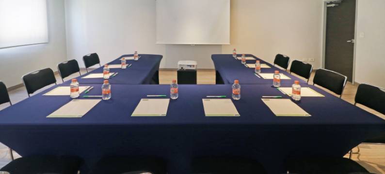 圣路易斯波托西工业区万豪城市快捷青年酒店(City Express Junior by Marriott San Luis Potosí Zona Industrial)图片