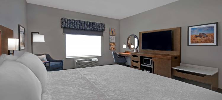 米德兰南部欢朋酒店(Hampton Inn by Hilton Midland South)图片