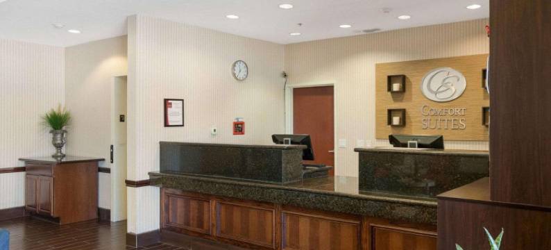 普莱恩维尤舒适套房酒店(Comfort Suites Plainview)图片