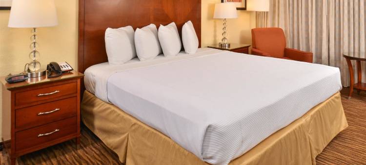 罗德威酒店(Rodeway Inn)图片