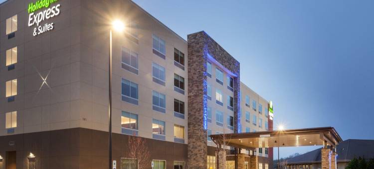 哈德森I-94号智选假日套房酒店(Holiday Inn Express & Suites HUDSON I-94 by IHG)图片