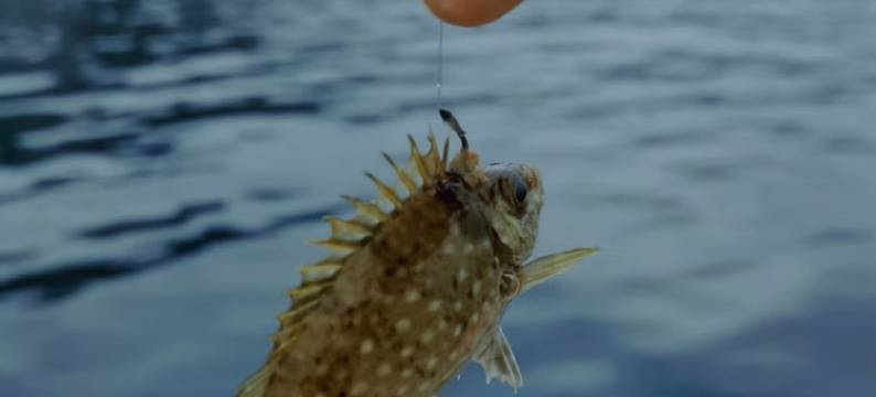 温馨慢屋海景民宿(海滨北路5号分店)图片