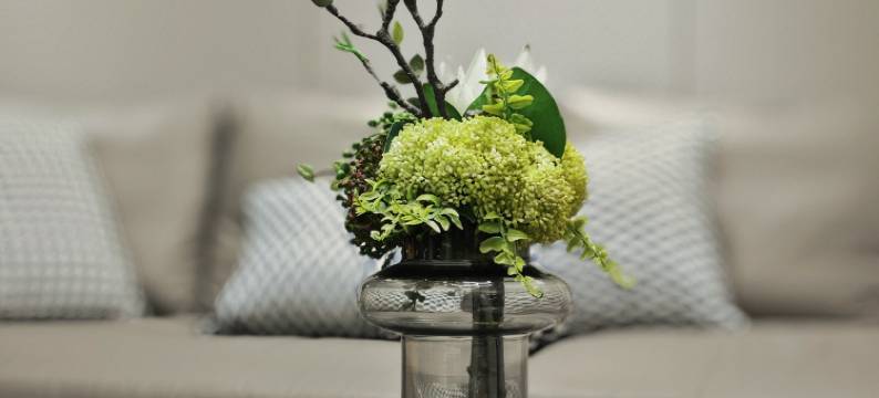 祥琪明月湾1006公寓(明月路分店)图片