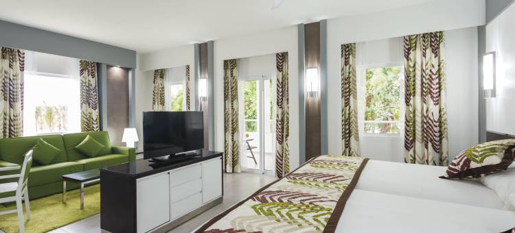 普拉亚卡尔悦宜湾酒店-全包(Riu Playacar - All Inclusive)图片