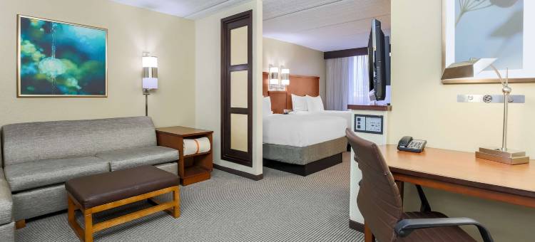 达拉斯/葡萄园凯悦嘉轩酒店(Hyatt Place Dallas Grapevine)图片
