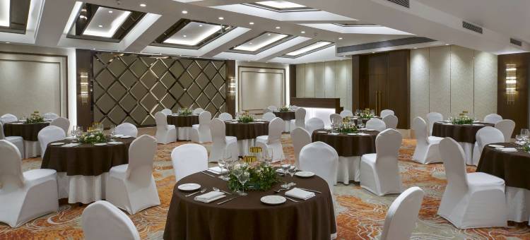 果阿坎多林丽柏酒店(Park Inn by Radisson Goa Candolim)图片