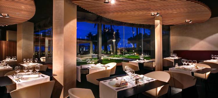 博南扎宫殿水疗&沙滩全包式酒店(Palace Bonanza Playa Resort & Spa by Olivia Hotels Collection)图片