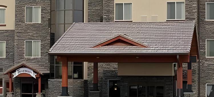 丹佛E-470/帕克尔路假日酒店(Holiday Inn Denver-Parker-E470/Parker RD)图片