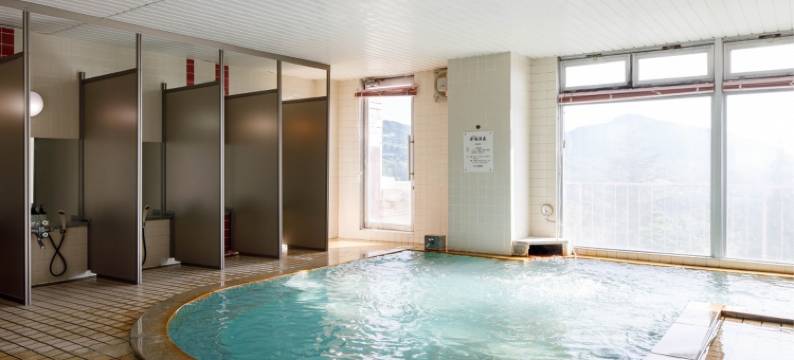 志贺高原发哺温泉岩菅酒店(Hotel Iwasuge)图片