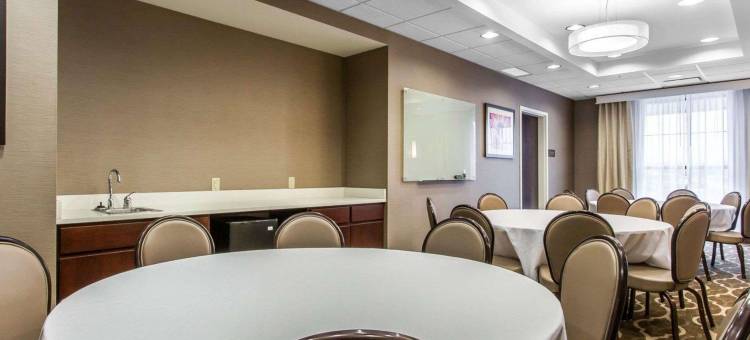 舒适套房酒店-扬斯敦北(Comfort Suites-Youngstown North)图片