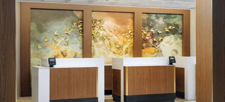 孟菲斯希尔顿安泊酒店(Embassy Suites by Hilton Memphis East Germantown Area)图片