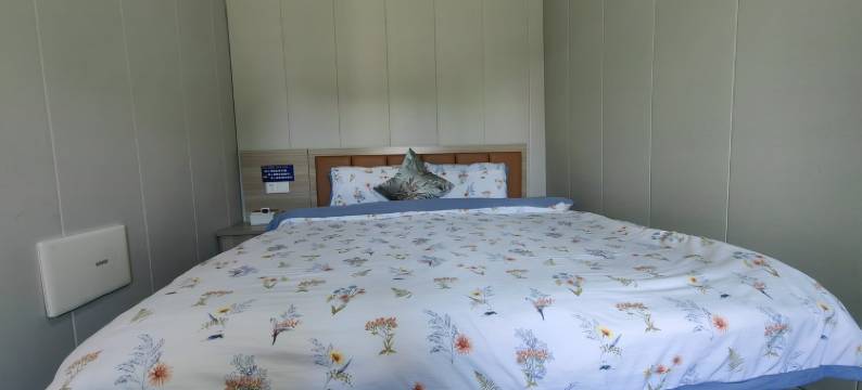 陈院长特色民宿(百花路2号分店)图片