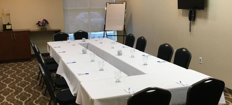 舒适套房酒店(Comfort Inn & Suites)图片