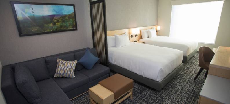 萨尔蒂洛凯悦嘉轩酒店(Hyatt Place Saltillo)图片