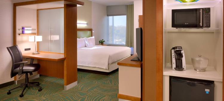 休斯顿i-45北万豪SpringHill酒店(SpringHill Suites Houston I-45 North)图片