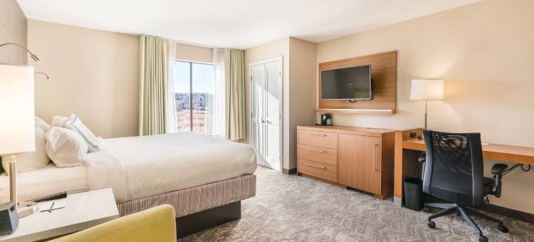 登顿SpringHill Suites 酒店(SpringHill Suites Denton)图片