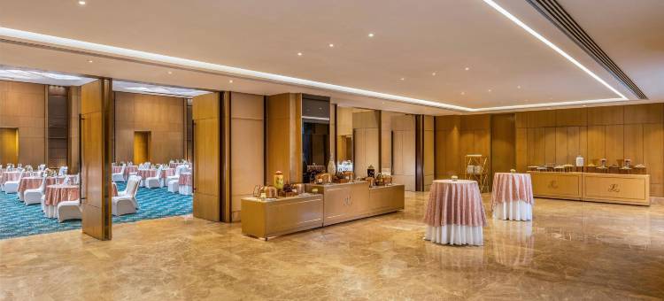新德里利拉格调会议酒店(The Leela Ambience Convention Hotel Delhi)图片