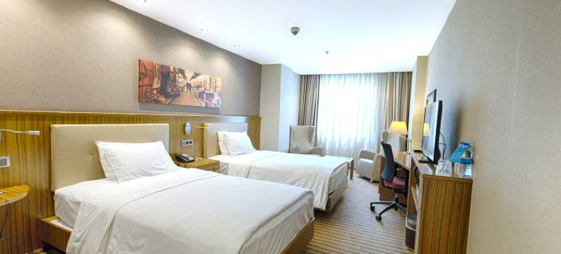 加济安泰普市中心希尔顿欢朋酒店(Hampton by Hilton Gaziantep City Centre)图片
