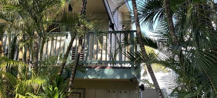 臻品#201, 纳皮利湾海滨! 顶层转角房, 公寓, 特惠!(Napili Bay Perfection #201, Top Floor, Corner Unit, On The Beach!  Specials!)图片