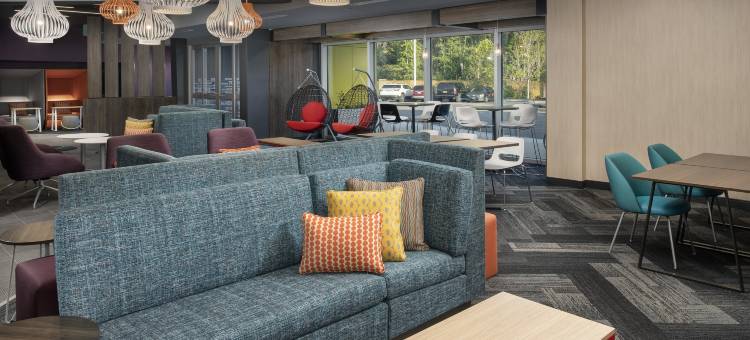 芒特普莱森特查尔斯顿希尔顿Tru酒店(Tru by Hilton Mt. Pleasant)图片