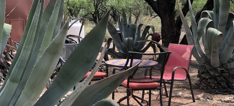Ranchito Paraiso: Artsy Farm Stay in the Desert图片