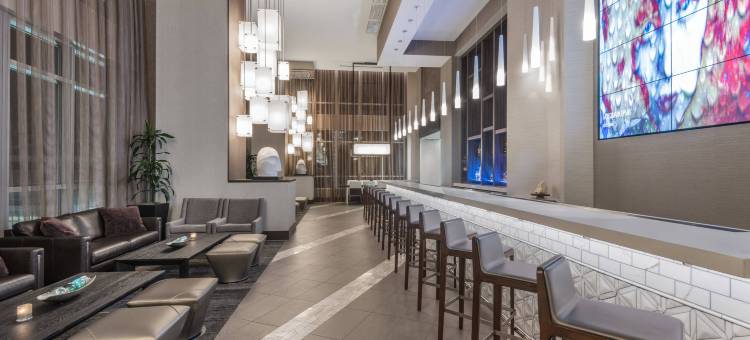 夏洛特市中心AC酒店(AC Hotel Charlotte City Center)图片