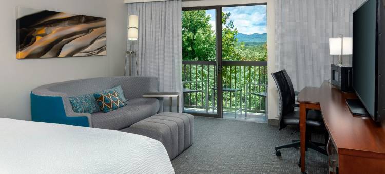 阿什维尔万怡酒店(Courtyard Asheville)图片