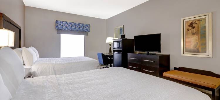 坦帕西北/奥尔兹马欢朋套房酒店(Hampton Inn & Suites Tampa Northwest/Oldsmar)图片