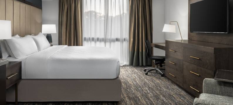 纳什维尔机场希尔顿安泊套房酒店(Embassy Suites by Hilton Nashville Airport)图片