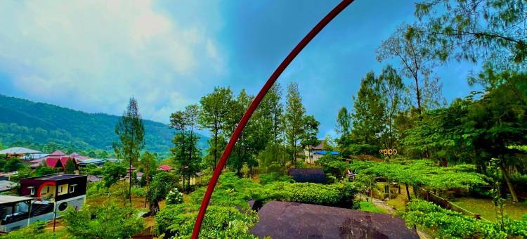 德皮波家庭旅馆(De'Pipo Homestay)图片