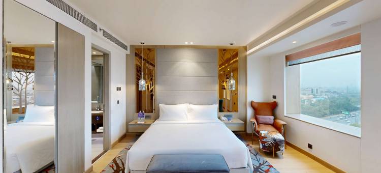 德里NCR-卡萨比塔丽笙蓝标酒店(Radisson Blu Towers Kaushambi Delhi NCR)图片