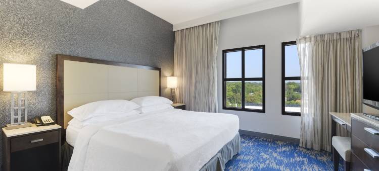 亚历山德里亚旧城希尔顿安泊酒店(Embassy Suites by Hilton Alexandria Old Town)图片